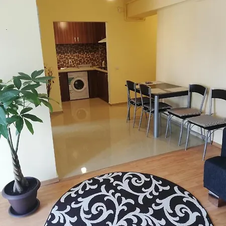 Andreea Apartament *